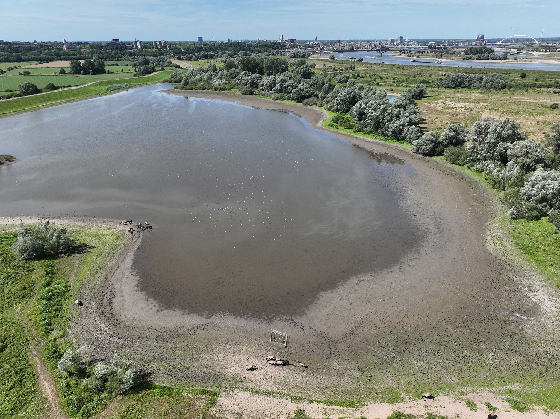 Droogval in de plassen in de Oude Waal bij Nijmegen