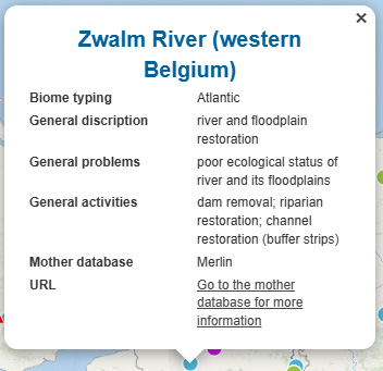 Example Site